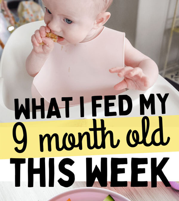 Feeding a 9 Month Old