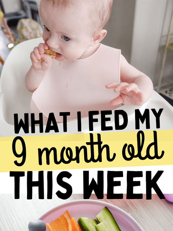 Feeding a 9 Month Old
